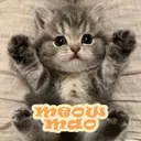 MMao