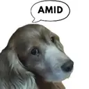 AMID
