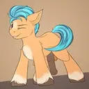 PONY
