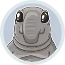 ZHDUN