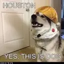 housTON