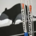 HANTA