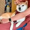 NPEPE