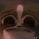 SN