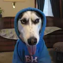 BLEP