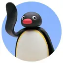 NOOTNOOT