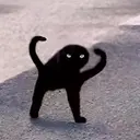 AAF