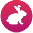 @Bunny