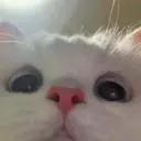 KUKU
