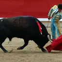 Vigilancia