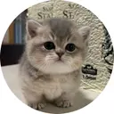 MIU