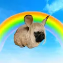 VAVIADOG