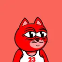 BallerCat