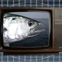 TONTONTONTONDTONTHON