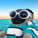 MOPS