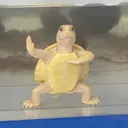 NINJA