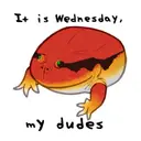 IIWMD