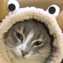 mi