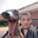 KZR