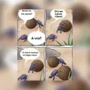 CCC