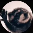 RACCOON