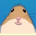HAMI