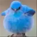 PEEP