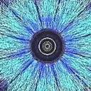 GLUON