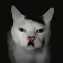gasKITLER