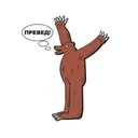 PRVD