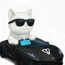 LAMBO CAT