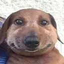 PUKI