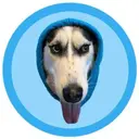 WIFDOG