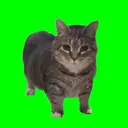 OIIAI