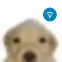 144P