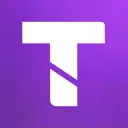 TEM