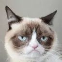 GRUMPYCAT