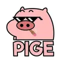 PIGE