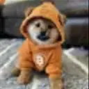 $DOGMOON