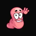 WORM
