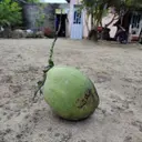 gasKOKS