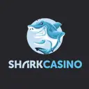 🦈SHARK