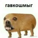 SHMYG