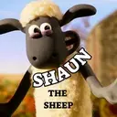 SHAUN