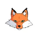 0X