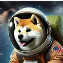 TDOGE