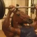 Horses