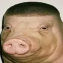 JPORK