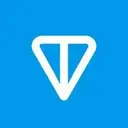 Toncoin (On hold)