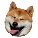 Dog Tounge